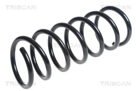 Пружина ходовой части TRISCAN 875027111