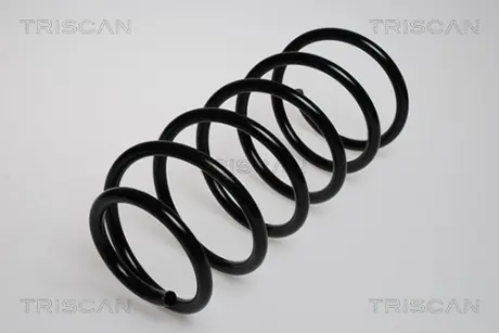 Пружина ходовой части TRISCAN 87502720