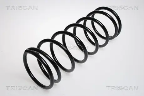 Пружина ходовой части TRISCAN 87502724