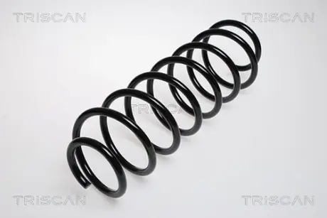 Пружина ходовой части TRISCAN 87502738