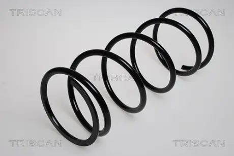 Пружина ходовой части TRISCAN 87502744