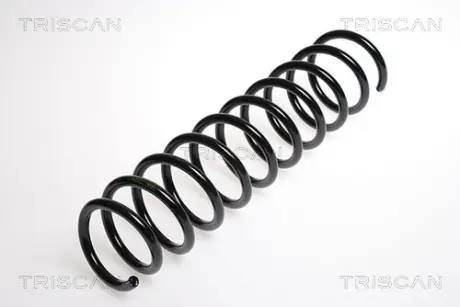 Пружина ходовой части TRISCAN 87502752