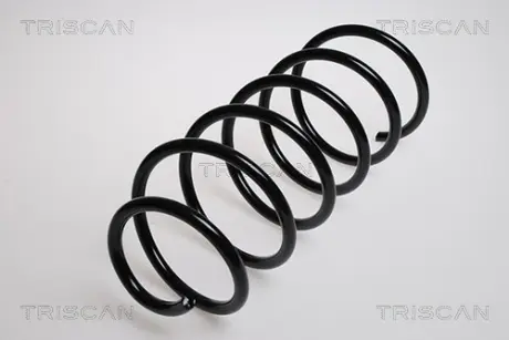Пружина ходовой части TRISCAN 87502754