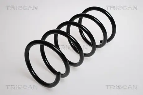 Пружина ходовой части TRISCAN 87502755