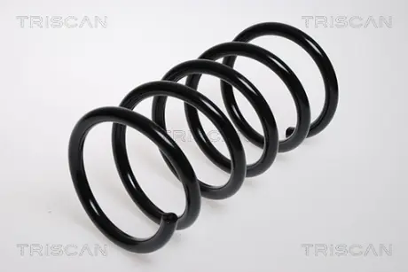 Пружина ходовой части TRISCAN 87502763