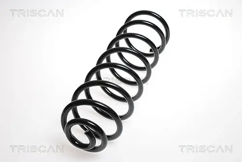 Пружина ходовой части TRISCAN 87502770 (фото 1)