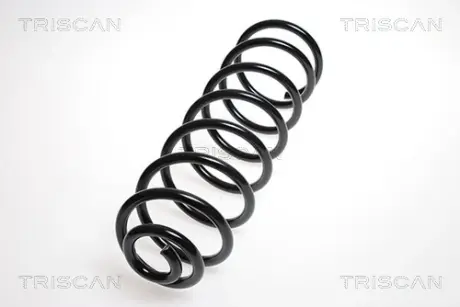 Пружина ходовой части TRISCAN 87502770