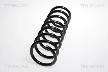 Пружина ходовой части TRISCAN 87502771
