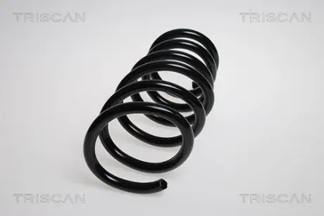 Пружина ходовой части TRISCAN 87502778