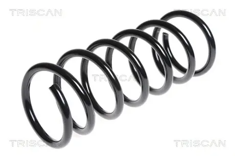 Пружина ходовой части TRISCAN 87502787