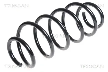 Пружина ходовой части TRISCAN 87502793