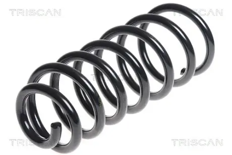 Пружина ходовой части TRISCAN 87502797