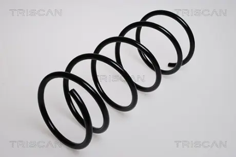 Пружина ходовой части TRISCAN 875028100