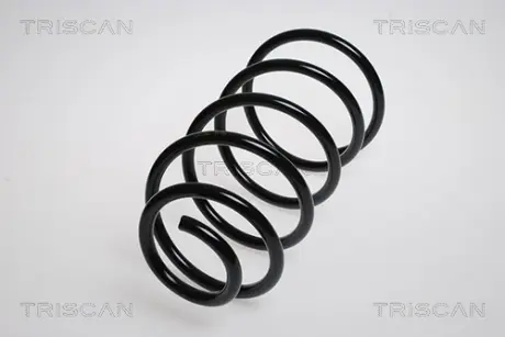 Пружина ходовой части TRISCAN 875028107