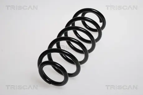 Пружина ходовой части TRISCAN 875028108