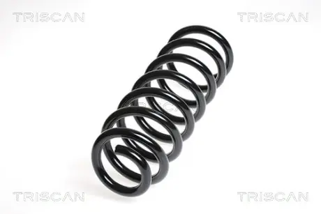 Пружина ходовой части TRISCAN 875028111