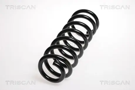 Пружина ходовой части TRISCAN 875028112