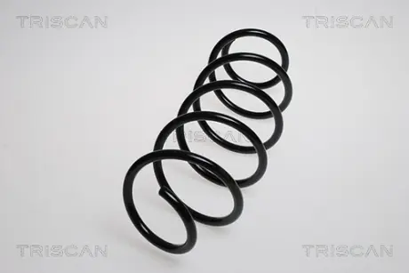 Пружина ходовой части TRISCAN 875028114