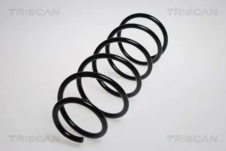 Пружина ходовой части TRISCAN 875028121
