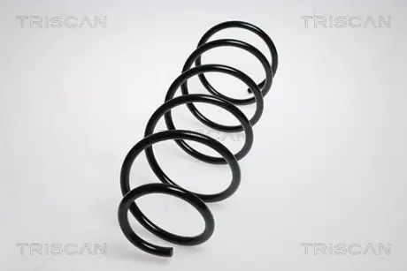 Пружина ходовой части TRISCAN 875028123