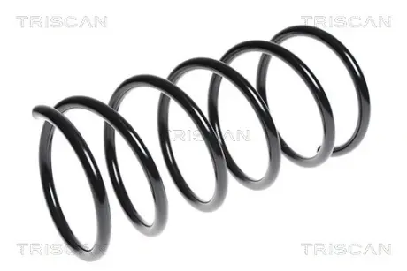 Пружина ходовой части TRISCAN 875028125