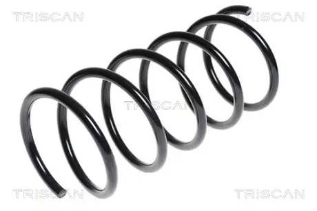 Пружина ходовой части TRISCAN 875028126