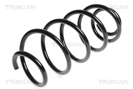 Пружина ходовой части TRISCAN 875028127