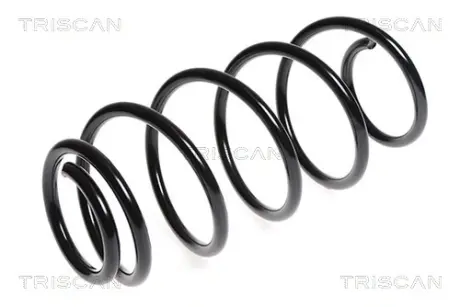 Пружина ходовой части TRISCAN 875028132