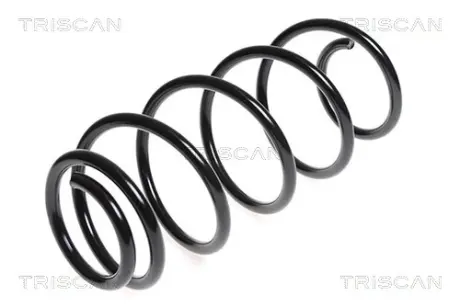 Пружина ходовой части TRISCAN 875028133