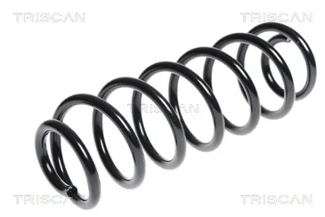 Пружина ходовой части TRISCAN 875028136