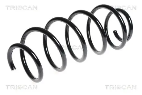 Пружина ходовой части TRISCAN 875028138