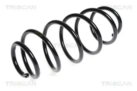 Пружина ходовой части TRISCAN 875028140