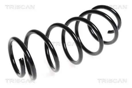 Пружина ходовой части TRISCAN 875028143