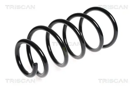 Пружина ходовой части TRISCAN 875028149
