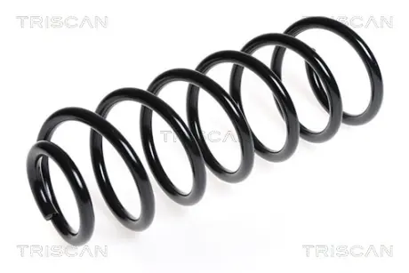 Пружина ходовой части TRISCAN 875028163