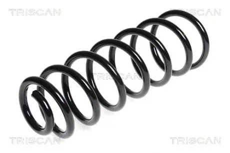 Пружина ходовой части TRISCAN 875028165