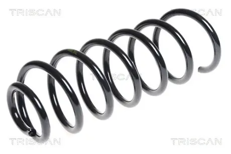 Пружина ходовой части TRISCAN 875028170