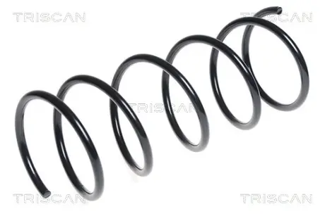 Пружина ходовой части TRISCAN 875028175