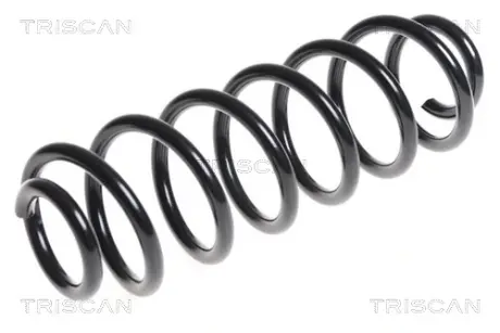 Пружина ходовой части TRISCAN 875028179