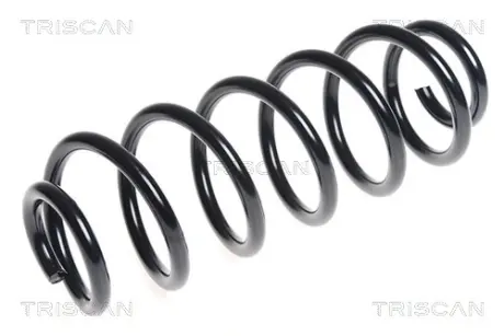 Пружина ходовой части TRISCAN 875028181