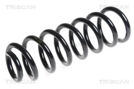 Пружина ходовой части TRISCAN 875028194