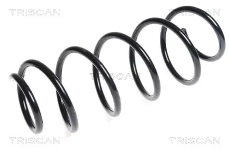 Пружина ходовой части TRISCAN 875028198