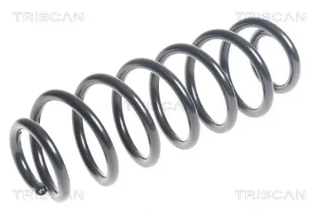 Пружина ходовой части TRISCAN 875028242