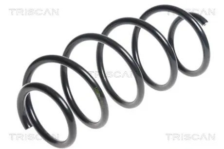 Пружина ходовой части TRISCAN 875028243