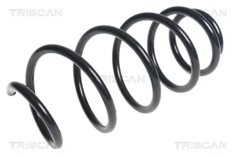 Пружина ходовой части TRISCAN 875028245