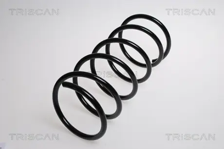 Пружина ходовой части TRISCAN 875028250