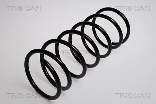 Пружина ходовой части TRISCAN 87502832 (фото 1)