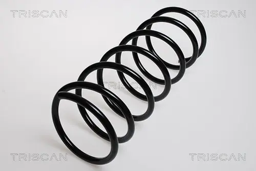 Пружина ходовой части TRISCAN 87502833 (фото 1)