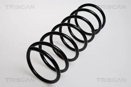 Пружина ходовой части TRISCAN 87502833