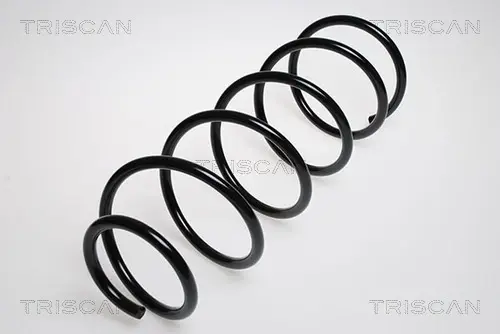 Пружина ходовой части TRISCAN 87502838 (фото 1)